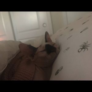 Meet your Posher, Kate